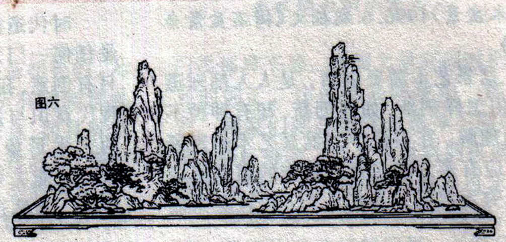 ݥ跨-ͼ6ľ99-.jpg