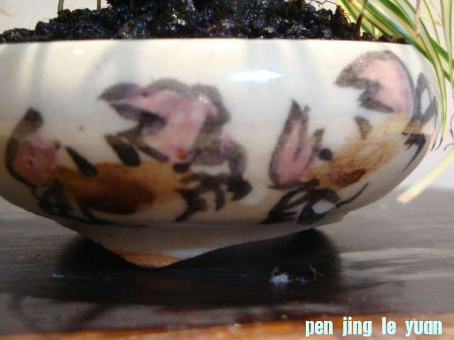 DSC03206.JPG