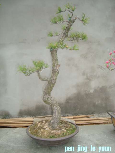 DSC06884.jpg