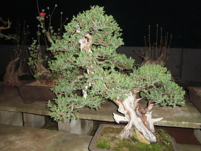 DSC06892.jpg
