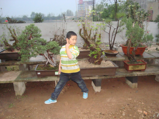 DSC06890.jpg