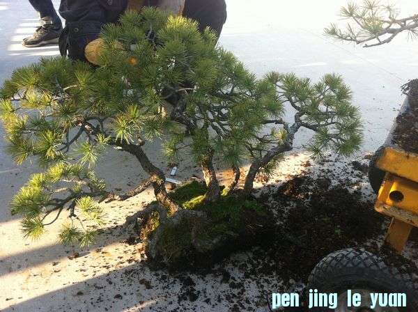 ҵ辰 478.jpg