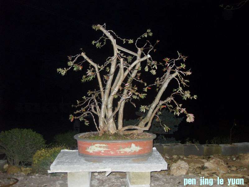 SDC13569.jpg