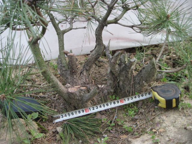 20130325Ժ 019.jpg