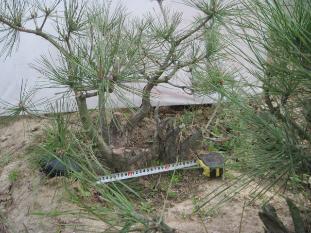 20130325Ժ 021.jpg