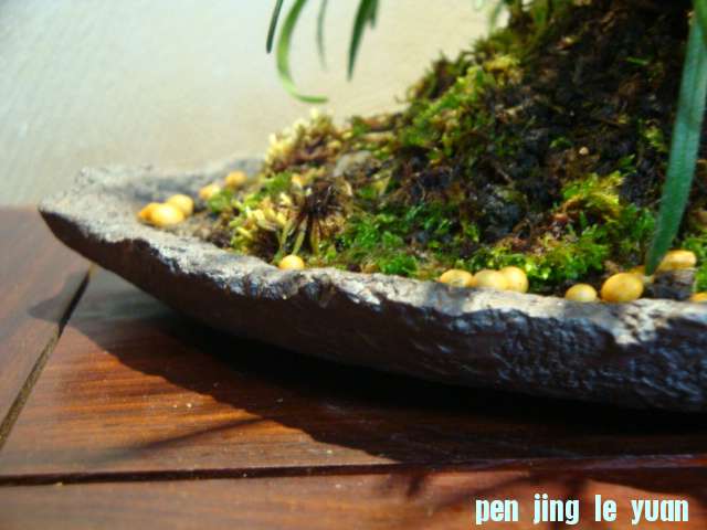 DSC03218.JPG