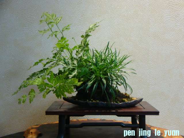 DSC03212.JPG