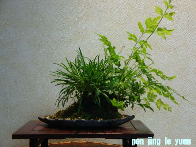 DSC03213.JPG