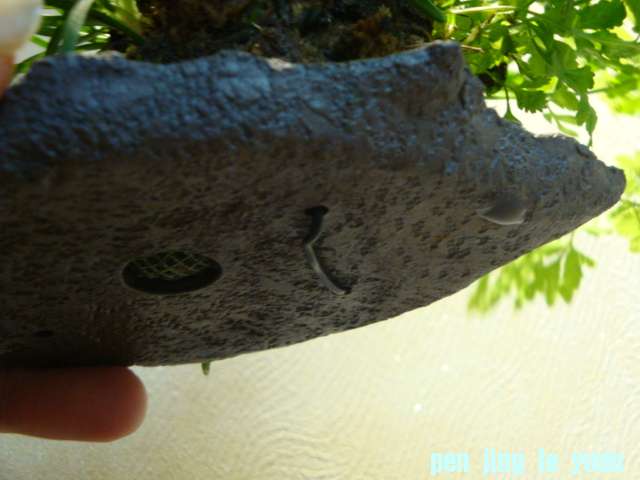 DSC03217.JPG