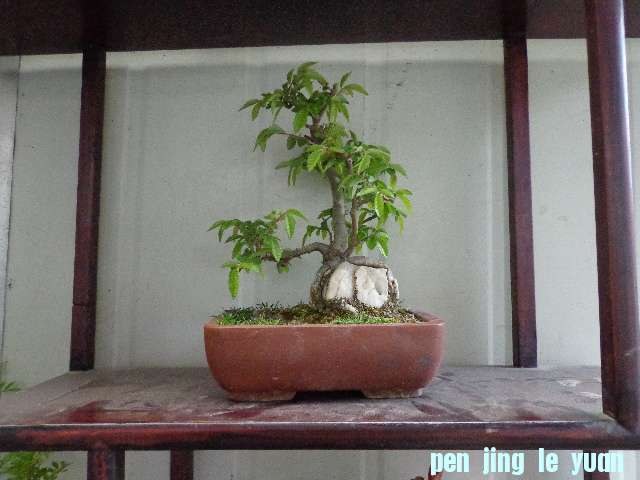 DSC00216.JPG