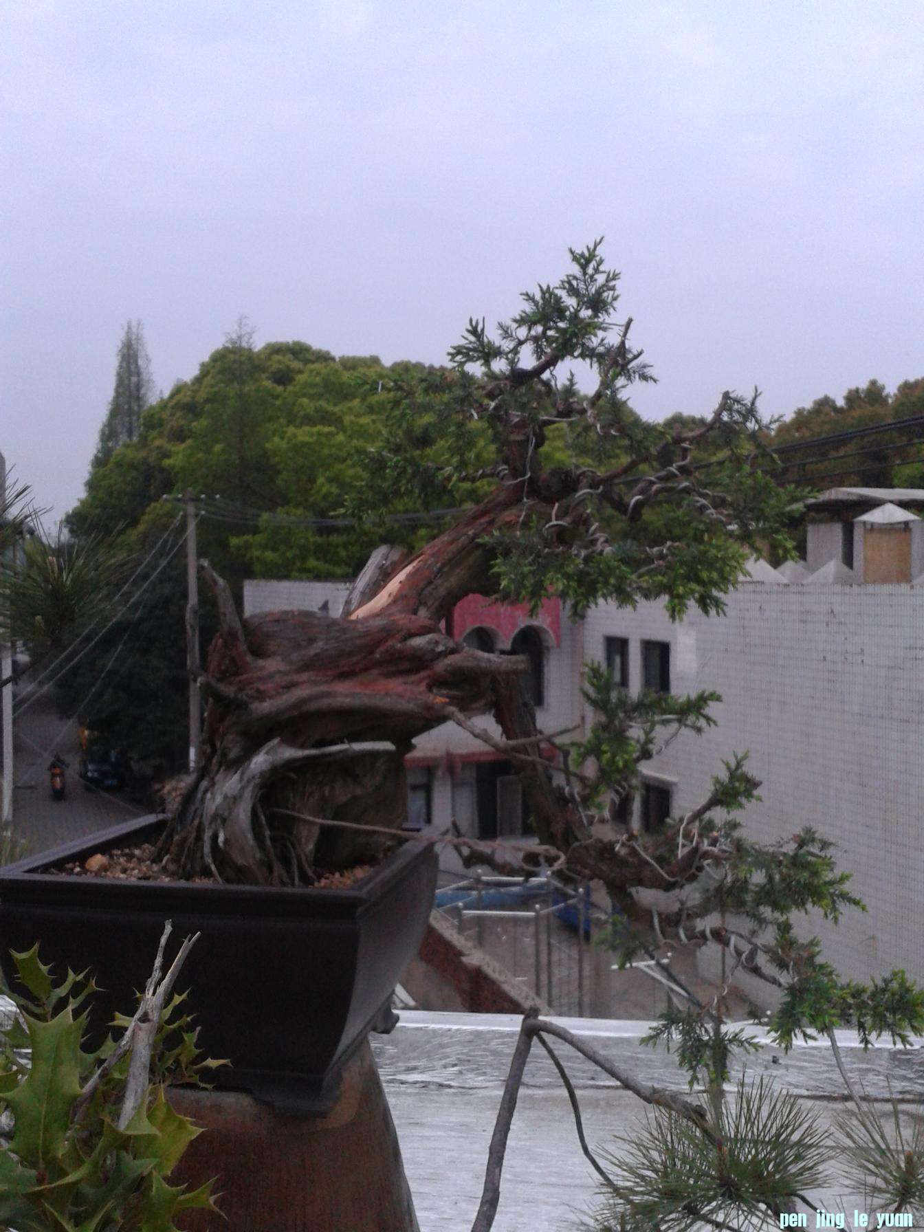2013-04-04 18.23.24.jpg