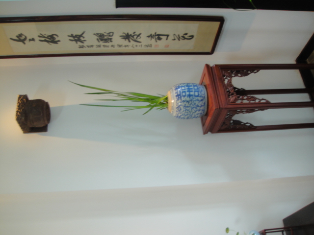 DSC04837.JPG