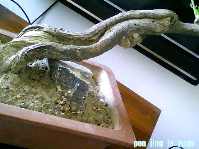 ͼƬ 005.jpg
