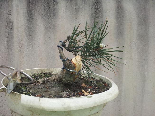 20130405_145923.jpg