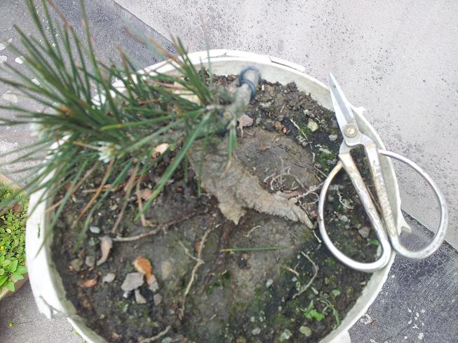 20130405_145950.jpg