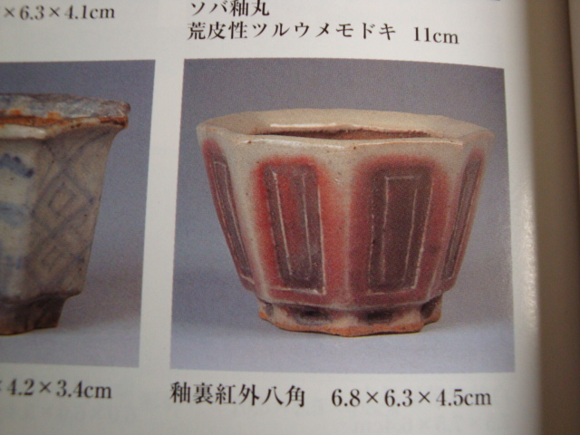 DSC02686.JPG