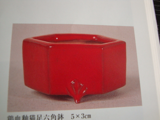 DSC02702.JPG