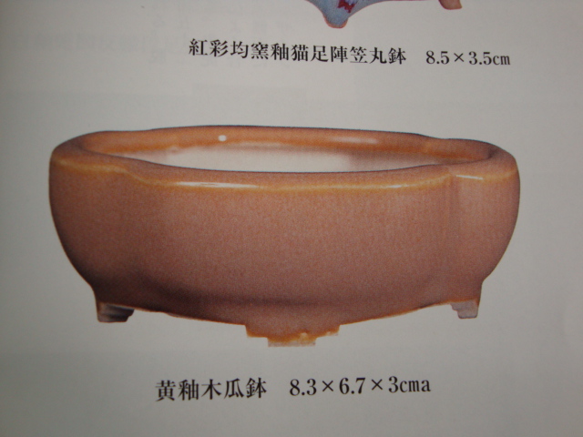 DSC02699.JPG