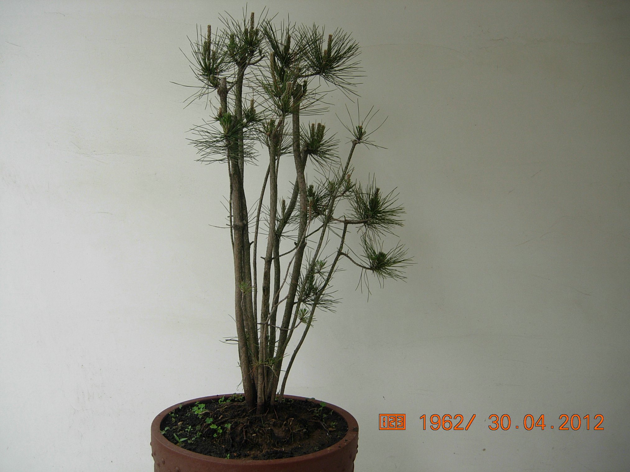 DSCN5808.JPG