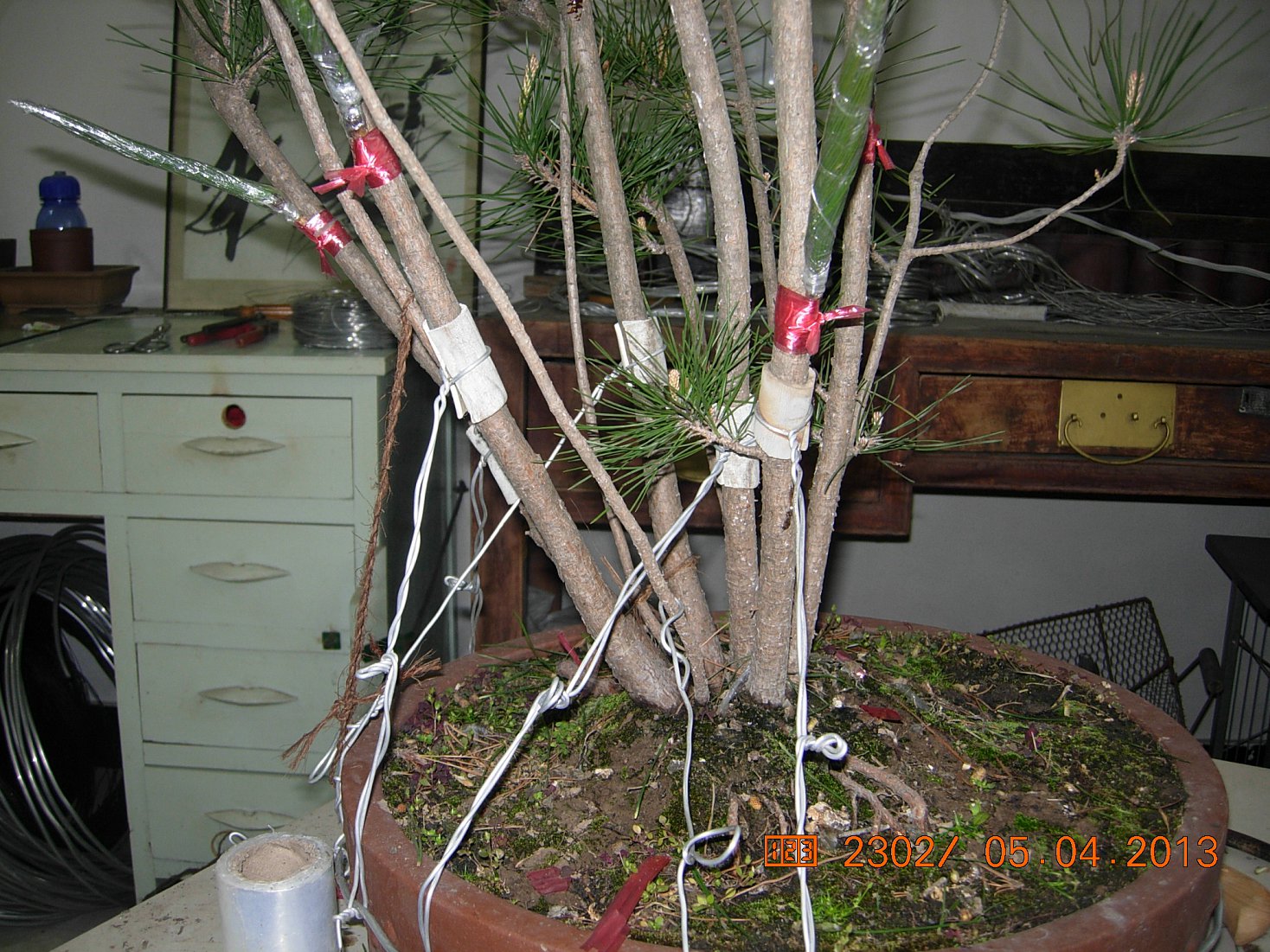 DSCN6660.JPG