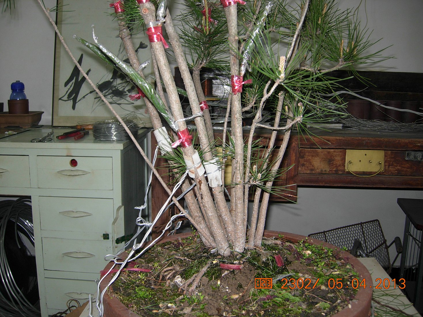DSCN6661.JPG