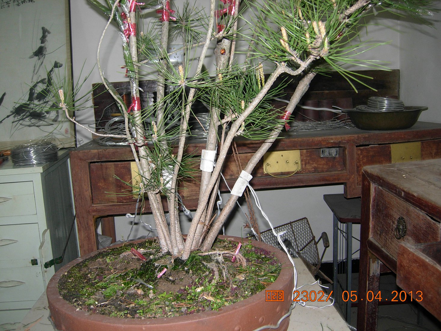 DSCN6662.JPG