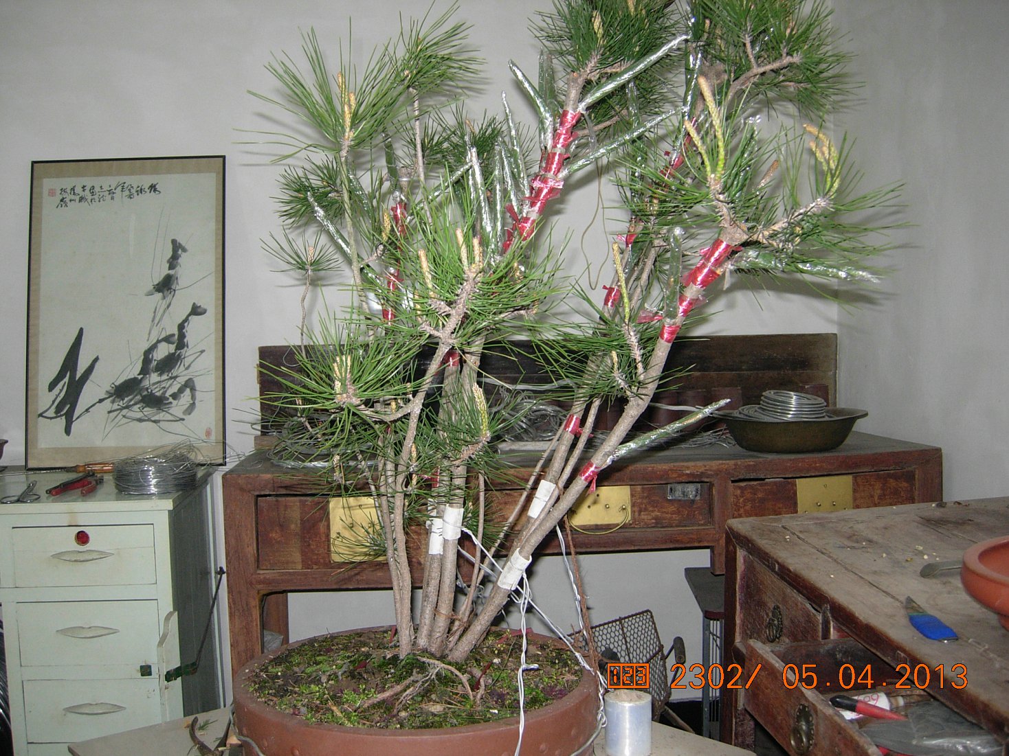 DSCN6663.JPG