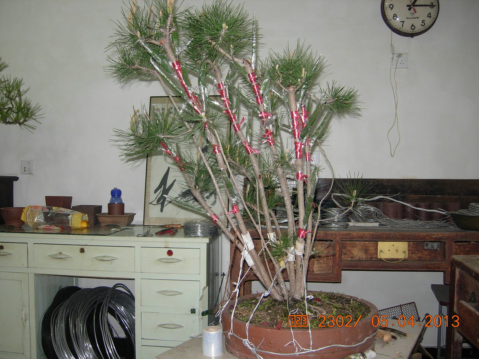 DSCN6665.JPG