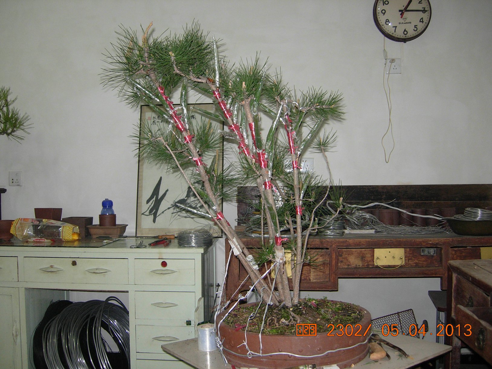 DSCN6666.JPG