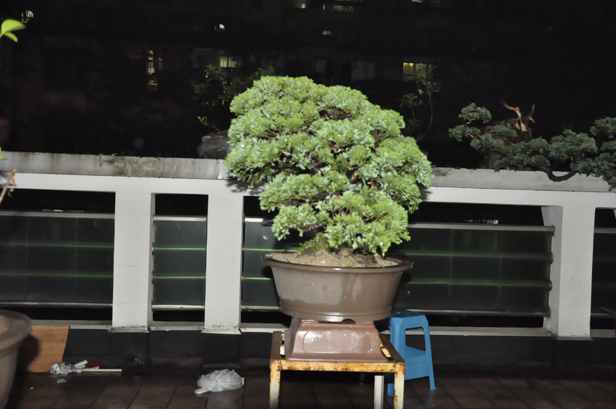 _DSC0008.JPG