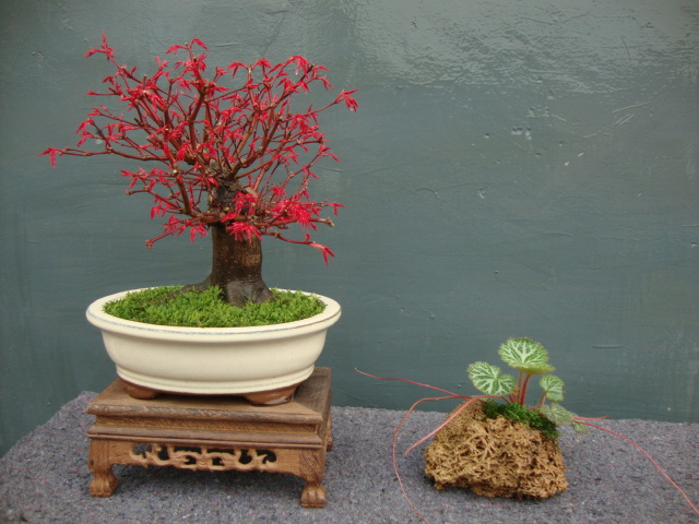 DSC03173.JPG