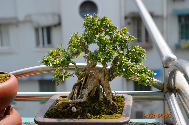 DSC_0187_.jpg