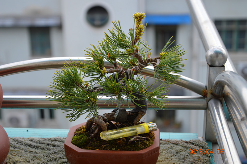 DSC_0193_.jpg