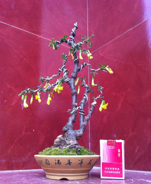 QQͼ20130406145020.jpg