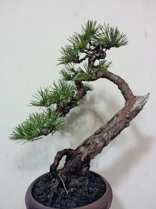 P30405-214302_.jpg