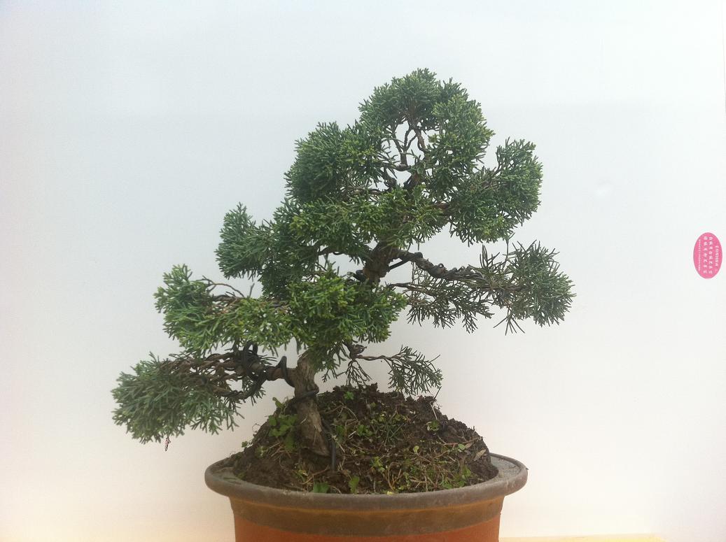 20130406 003.jpg