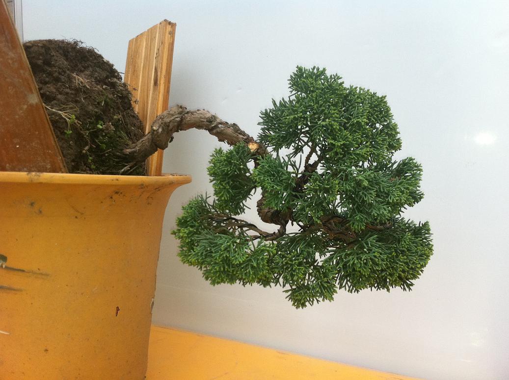 20130406 006.jpg