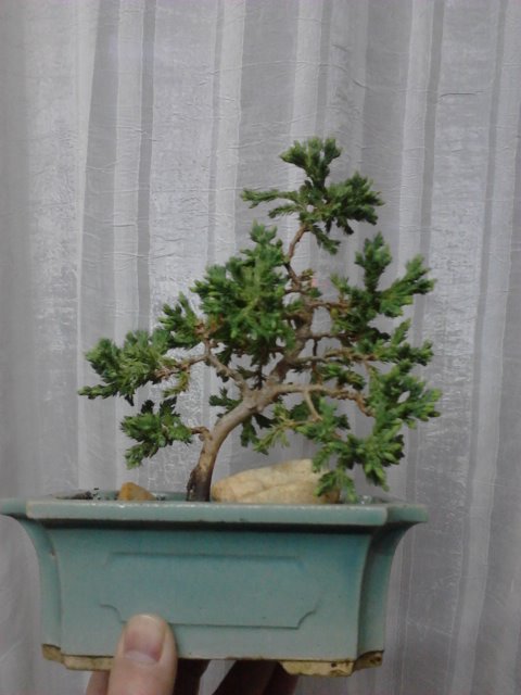 IMG1026.jpg