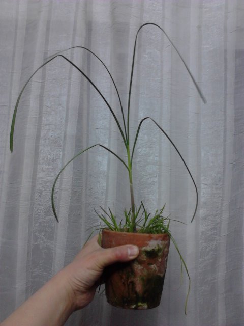 IMG1041.jpg