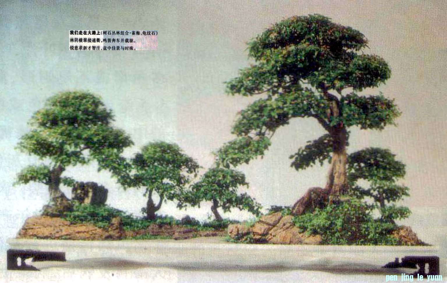 ݥ-ڴ· ȸ÷ʫ-06-7.jpg