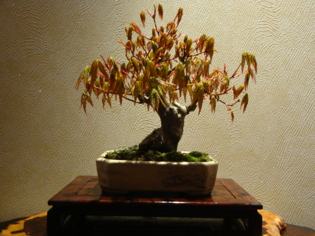 DSC03184.JPG