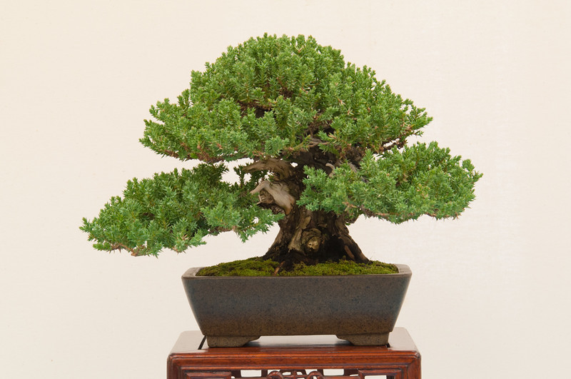 20130120-15-bib-exhibit-L.jpg