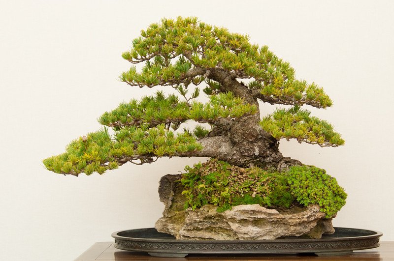 20130120-30-bib-exhibit-L.jpg