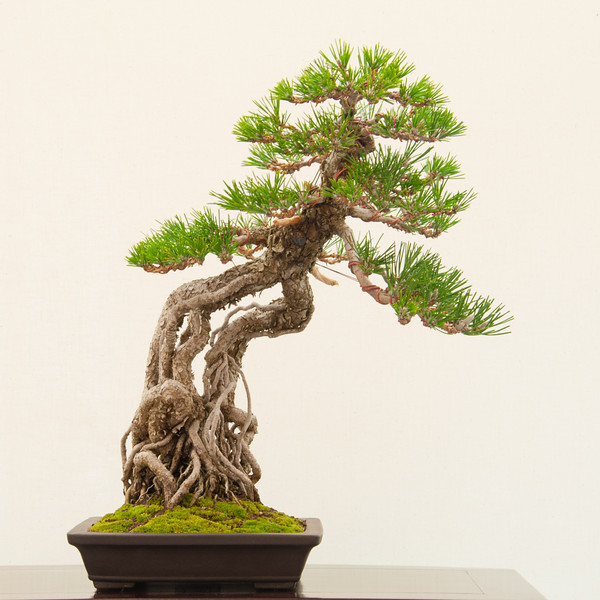 20130120-97-bib-exhibit-L.jpg