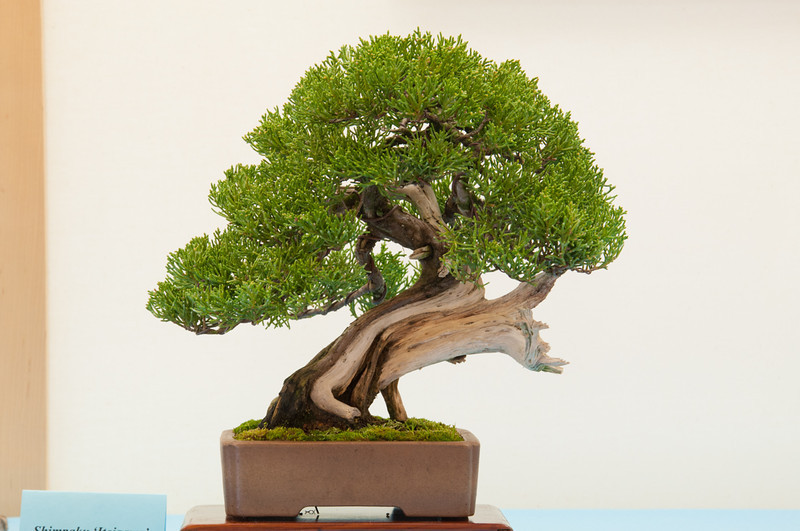 20130120-100-bib-exhibit-L.jpg