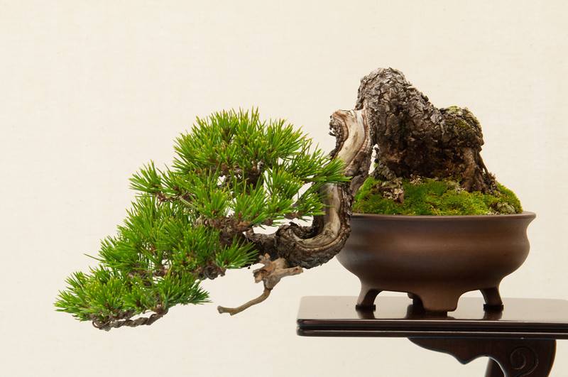20130120-113-bib-exhibit-L.jpg