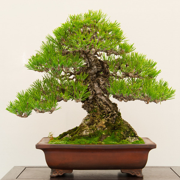 20130120-116-bib-exhibit-L.jpg