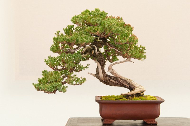 20130120-130-bib-exhibit-L.jpg