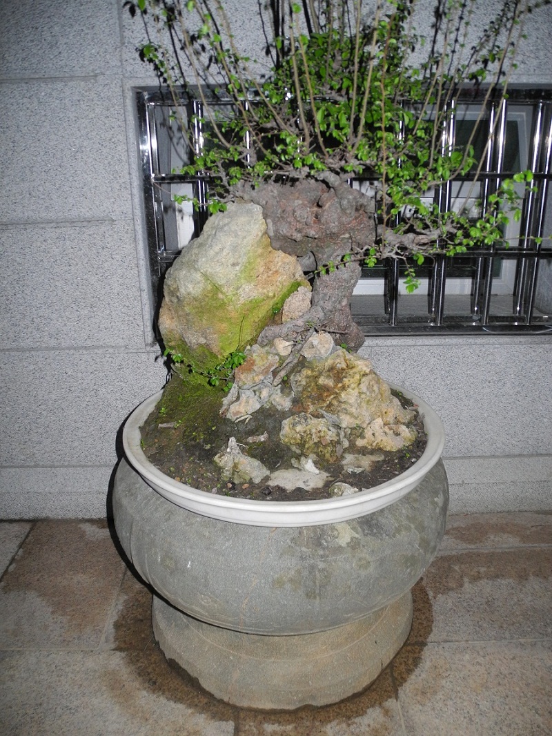 DSCN0328.JPG