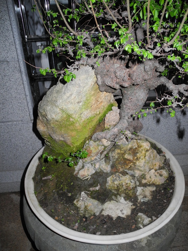 DSCN0329.JPG